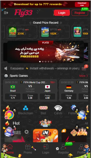 Fly 33Game 