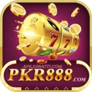 PKR 888 Game - Best Earning Application