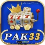 Pak 33 Game Download Latest Version Free For Android