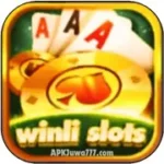 Winli Slots Game APK Pakistan Best Online Earning Application